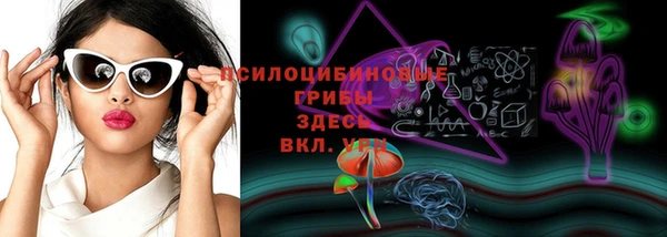 трава Новодвинск