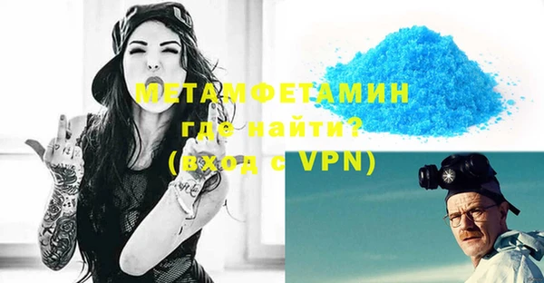 прущие грибы Наволоки