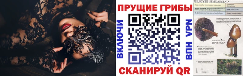 Псилоцибиновые грибы ЛСД  Карпинск 