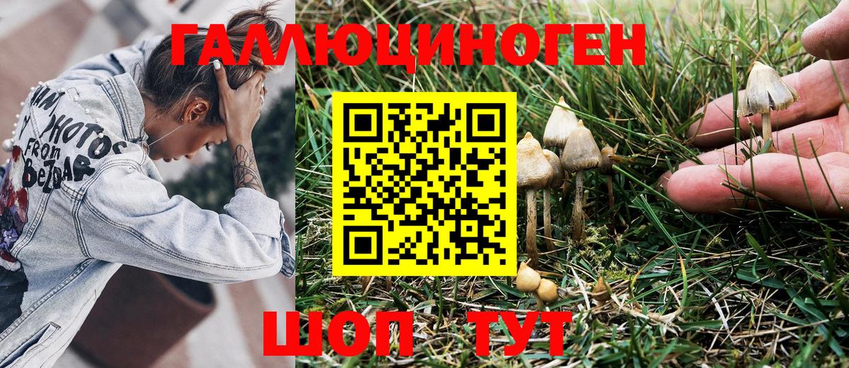 Карпинск  Псилоцибиновые грибы Magic Shrooms  Вход с VPN 