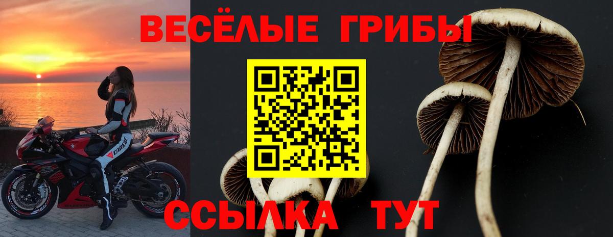 Галлюциногенные грибы GOLDEN TEACHER Карпинск