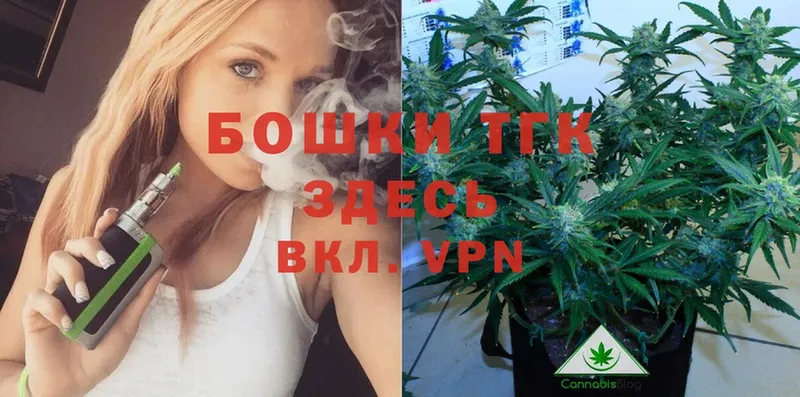 Бошки марихуана THC 21%  где найти наркотики  KRAKEN зеркало  Карпинск 